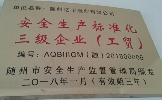 熱烈祝賀隨州億豐泵業(yè)有限 公司獲安全標(biāo)準(zhǔn)化三級企業(yè)復(fù)審?fù)ㄟ^